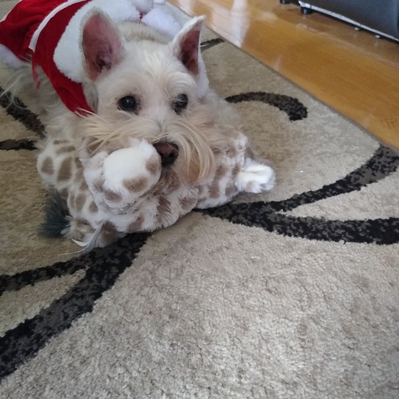 Meet your Posher, Andrea - Picture 6 of 16